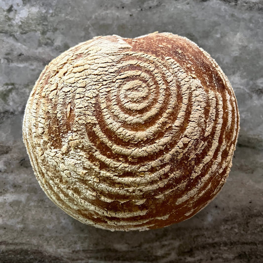 Sourdough 101